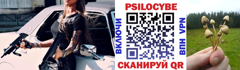 Псилоцибиновые грибы Psilocybe хочу наркоту shop формула Дыгулыбгей